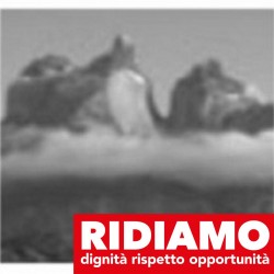 Cittadino che ha condiviso